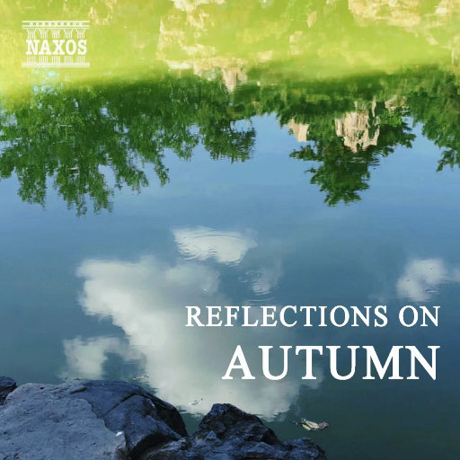 桃色午夜成人剧院
